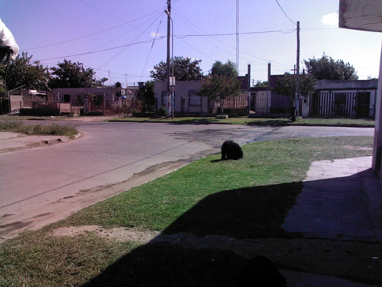 José C. Paz — destination photograph
