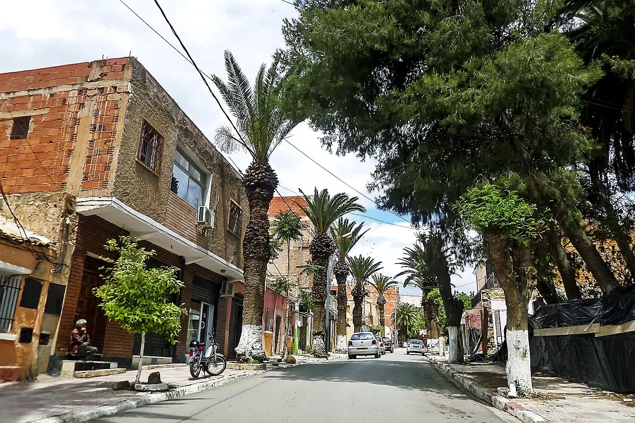 Saïda — φωτογραφία της περιοχής