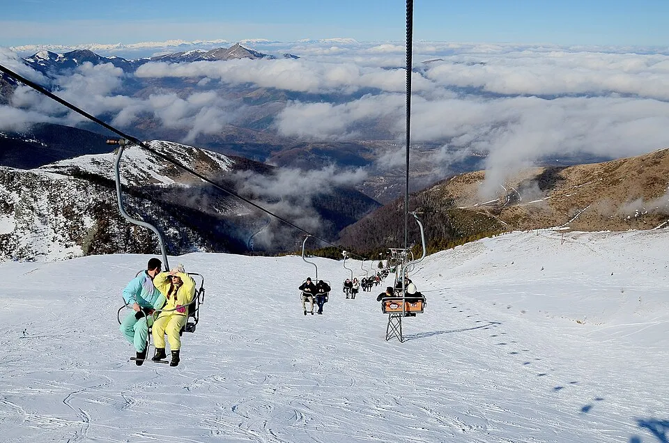 Brezovica