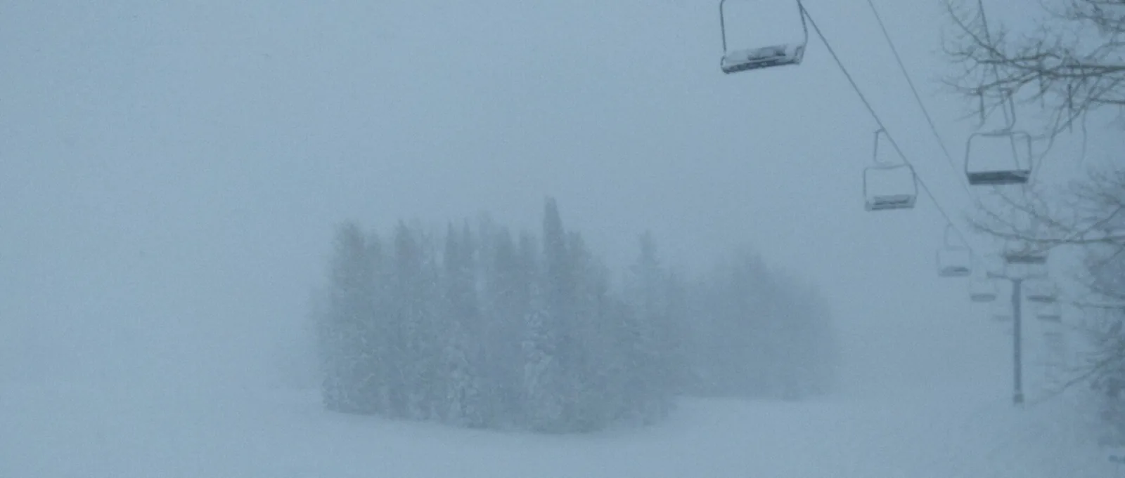 A chairlift and conifers fading into snowy fog at Beaver Mountain.