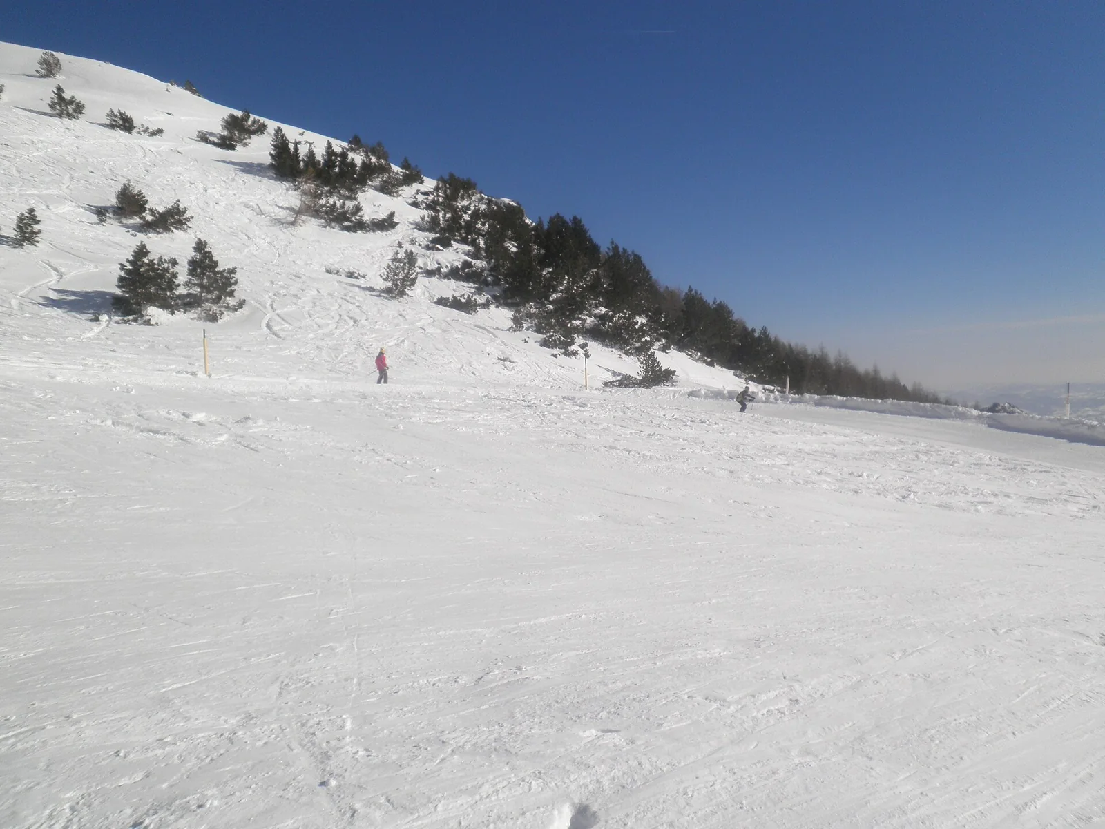 A snowy piste with scattered trees in the Cimone ski area.