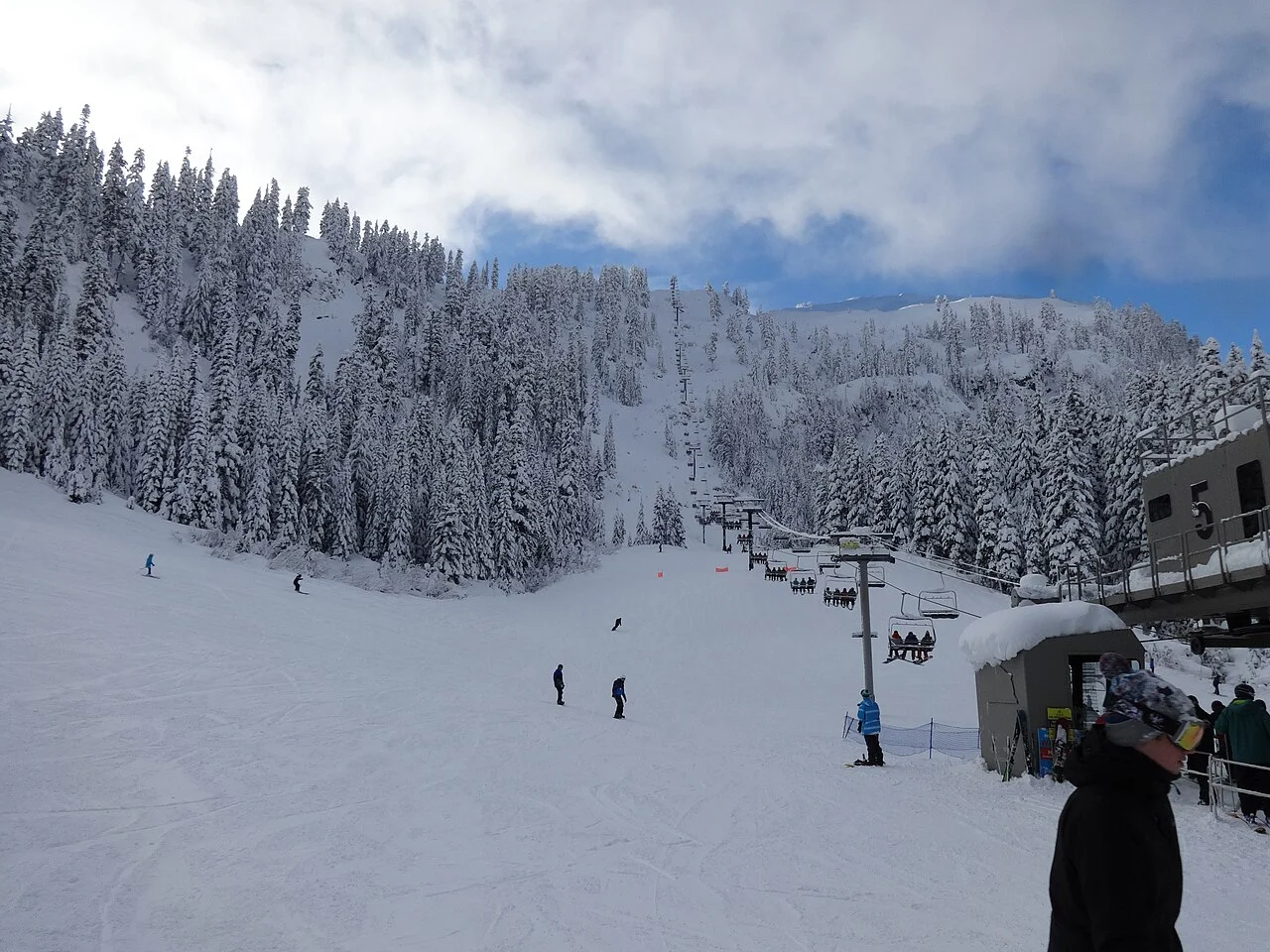 Chairlift and wooded slope at Mt. Baker Ski Area