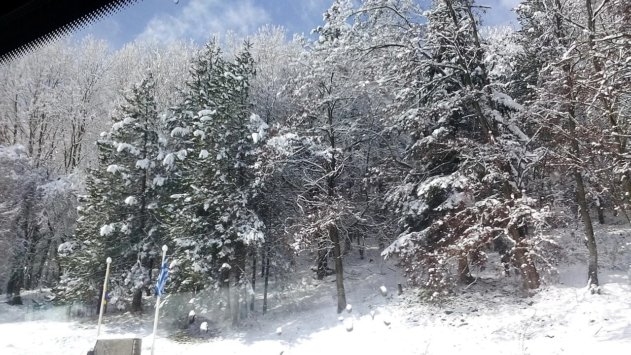 Snow-covered forest in the Metsovo area; the Politsies facilities are not shown