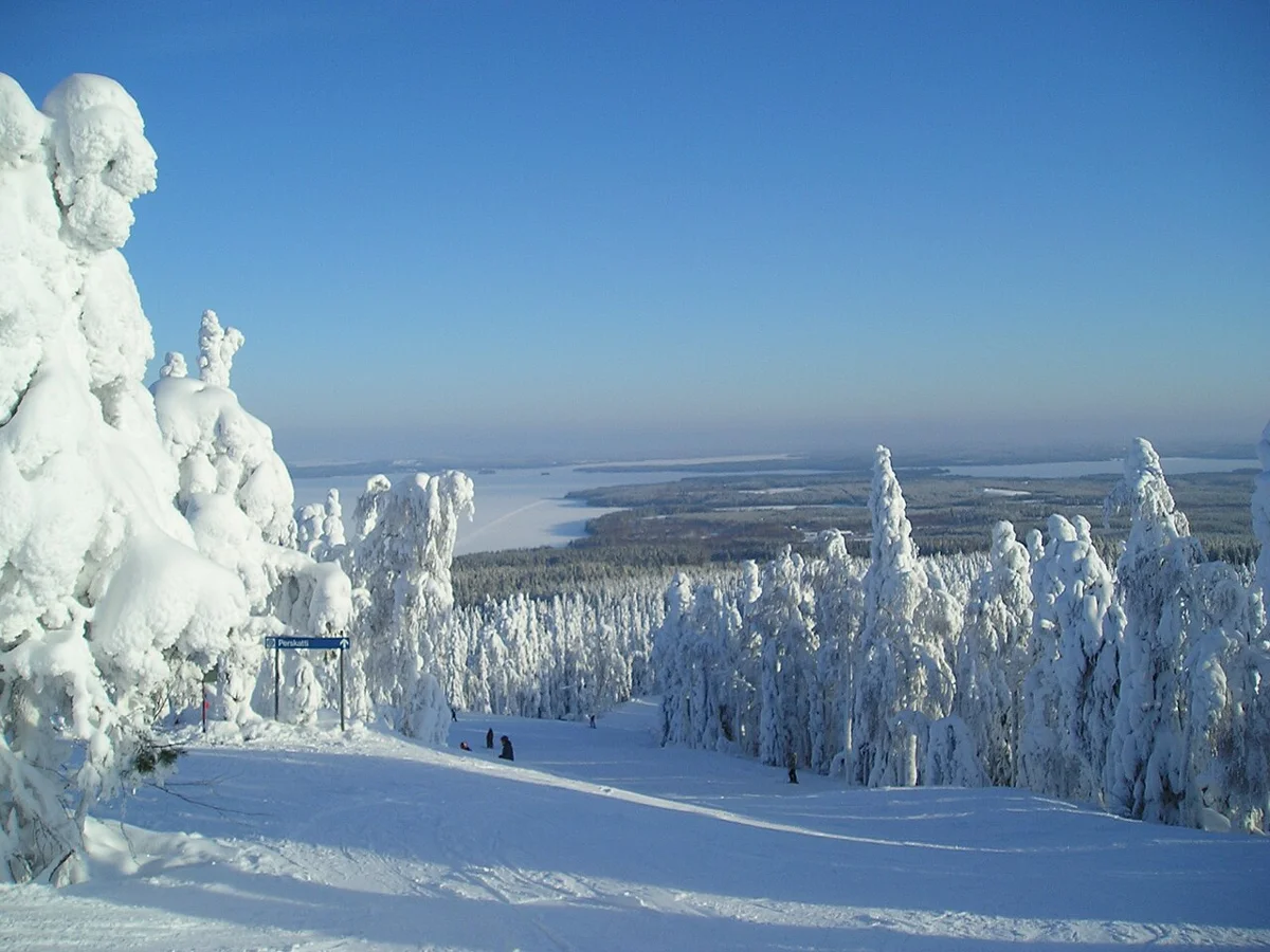 Vuokatti