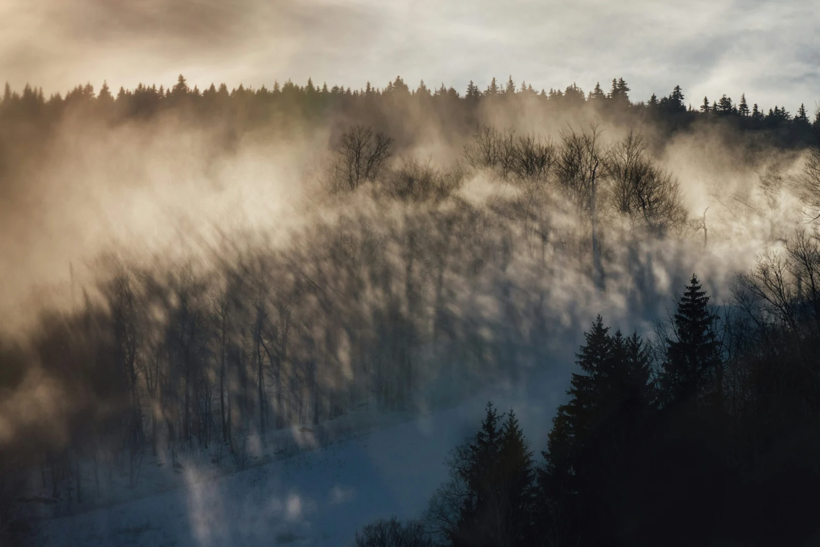 Sunlight and mist above a wooded ridge at Hunter Mountain in New York’s Catskills.