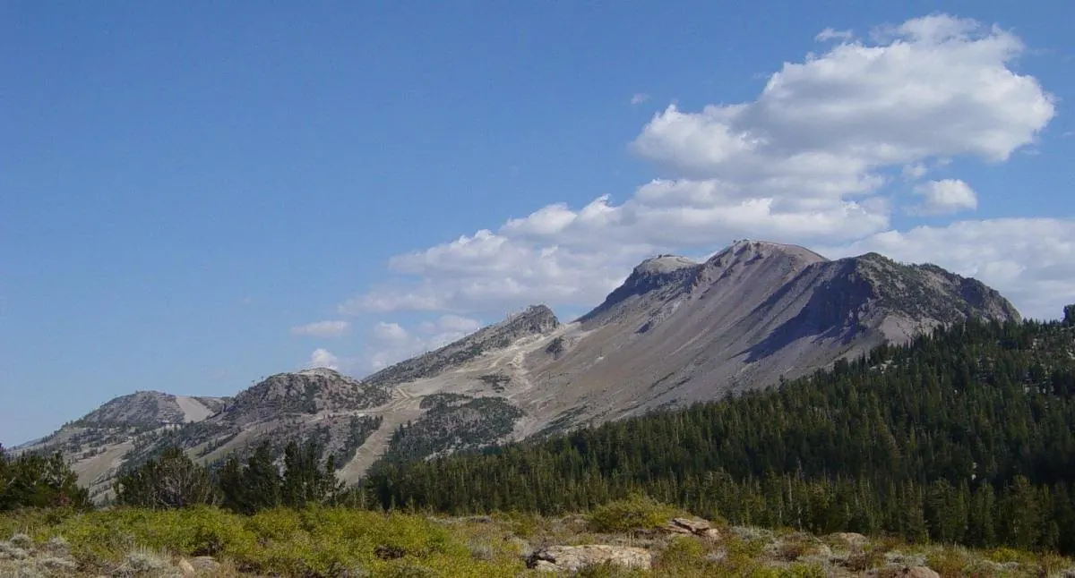 Mammoth Mountain Ski Area in summer.