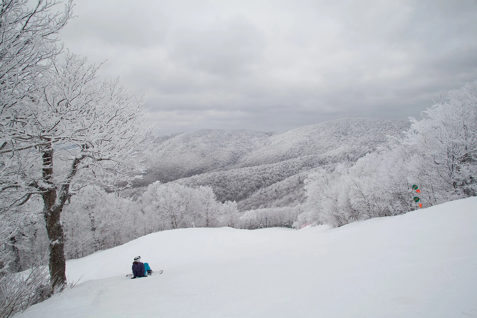 A snowboarder below snow-covered forest at Mont Sutton, Quebec.