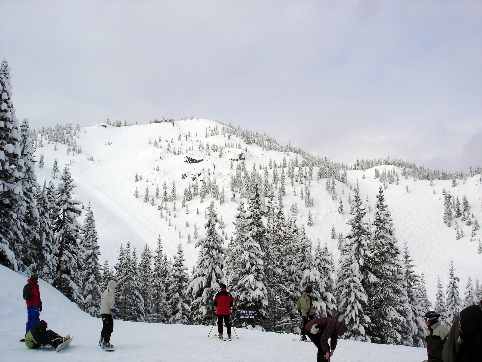 Snow-covered slopes, conifers and skiers at Mount Hood Skibowl, Oregon.