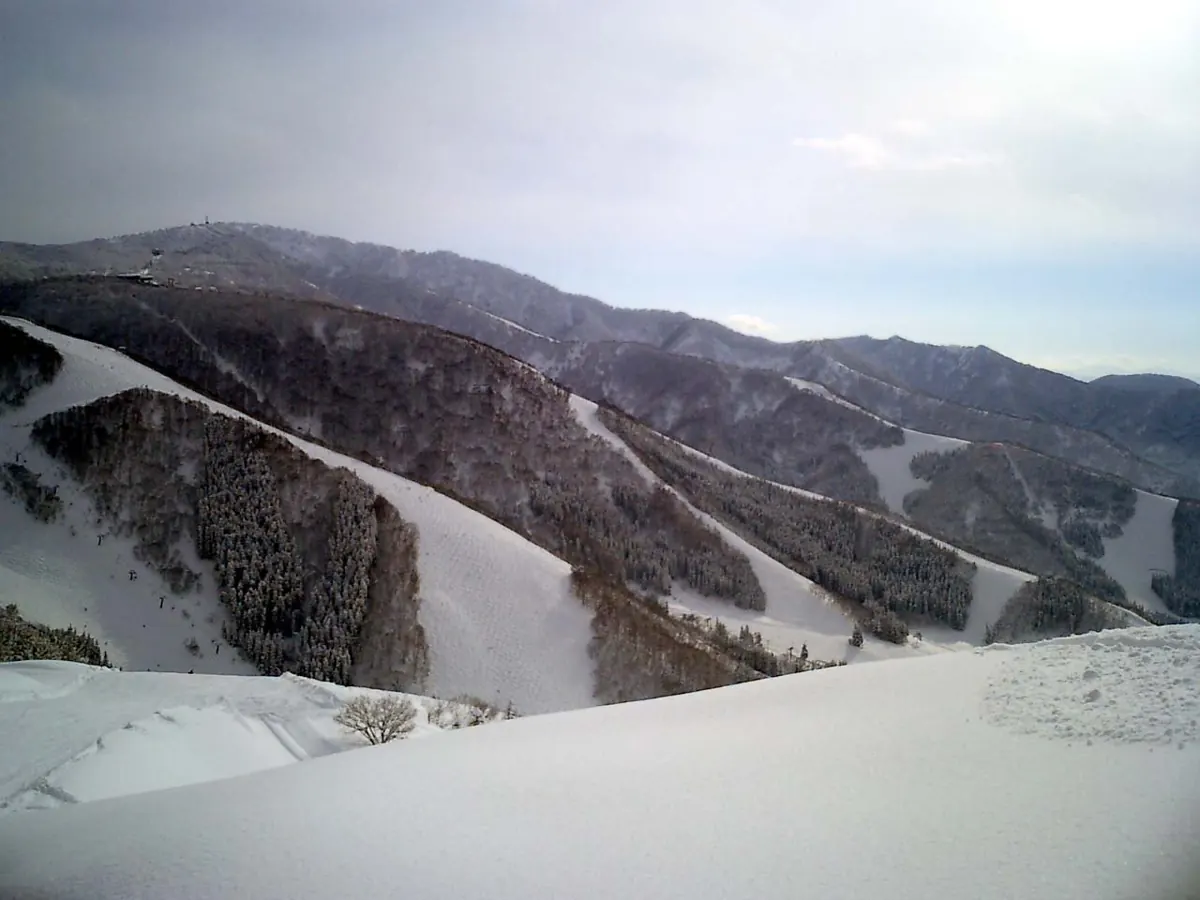 Ski slopes at Nozawa Onsen, Japan