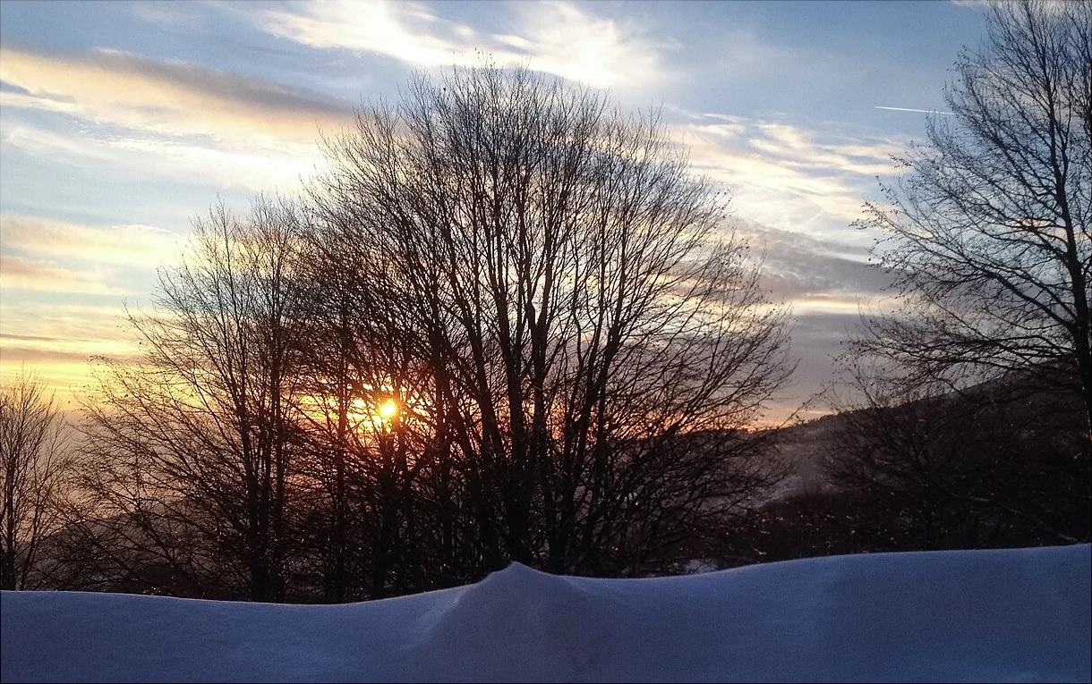 Winter sunset through bare trees above snow in the Pelion region.
