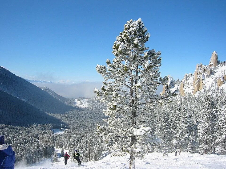 Snowy ski slopes in the Palisades area of Red Lodge Mountain, Montana.