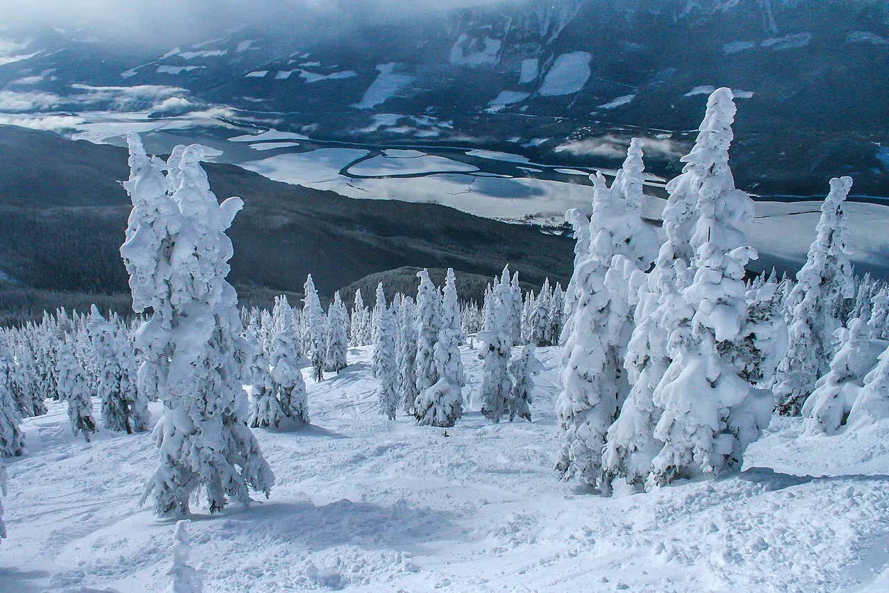 a day's skiing at spedtacular Mt Revelstoke...Noth Americas biggest vertical drop at  1713m (5620 ft)...the buried trees appear like snow ghosts...
