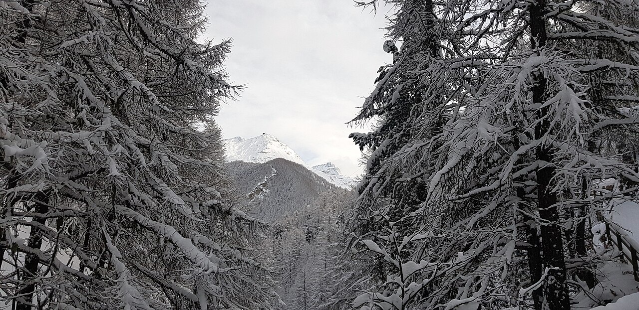 Χειμερινό τοπίο στην περιοχή του Zermatt, Ελβετία