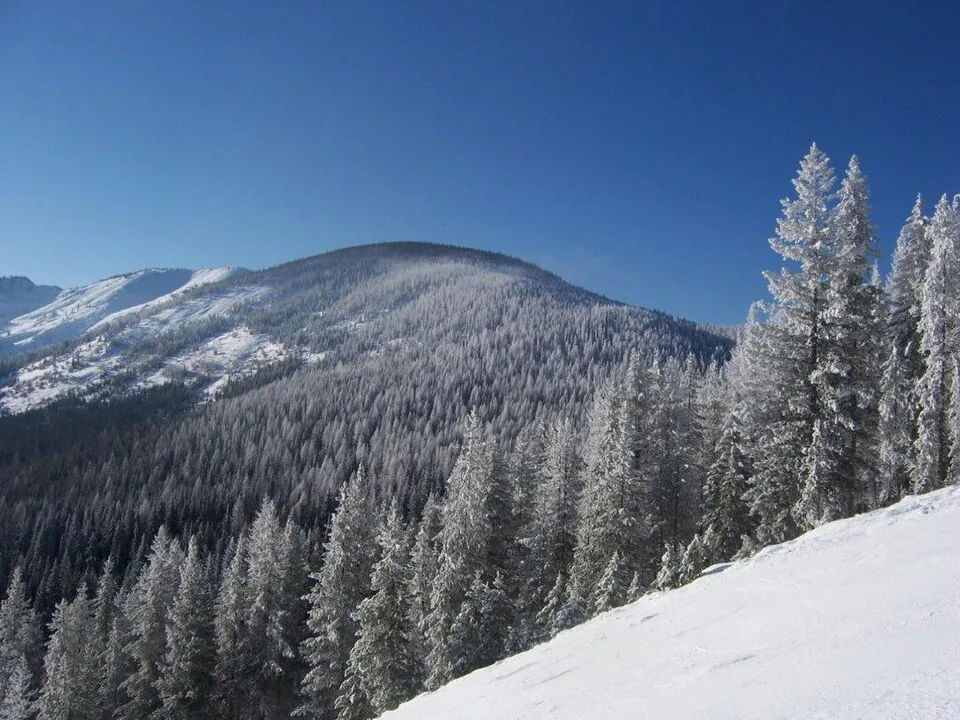 A winter landscape near Lookout Pass in the Idaho Panhandle.