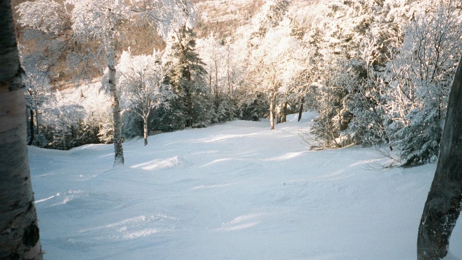 Snow-covered trees at the entrance to Doc Dempsey’s Glades at Smugglers’ Notch, Vermont.