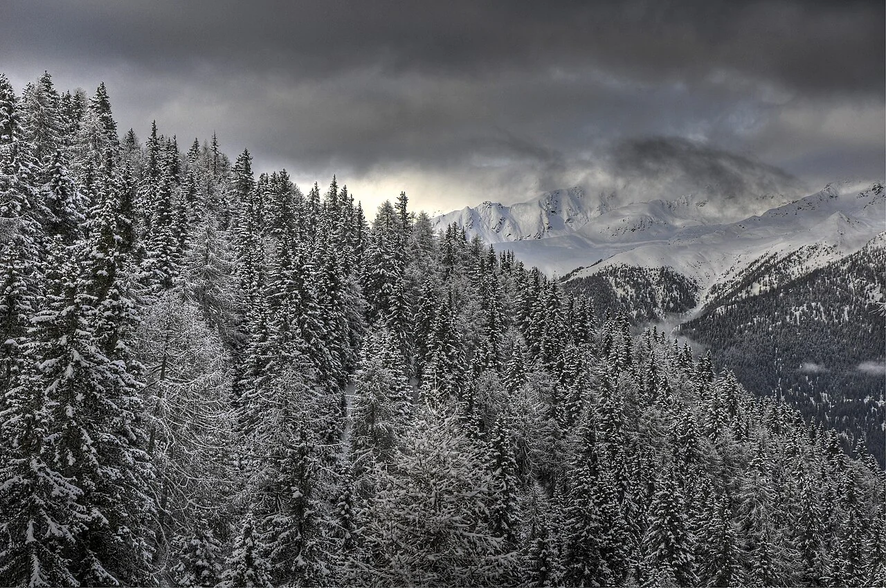 Snow-covered forest and mountains beneath dark clouds at Malghet Haut, Folgarida.
