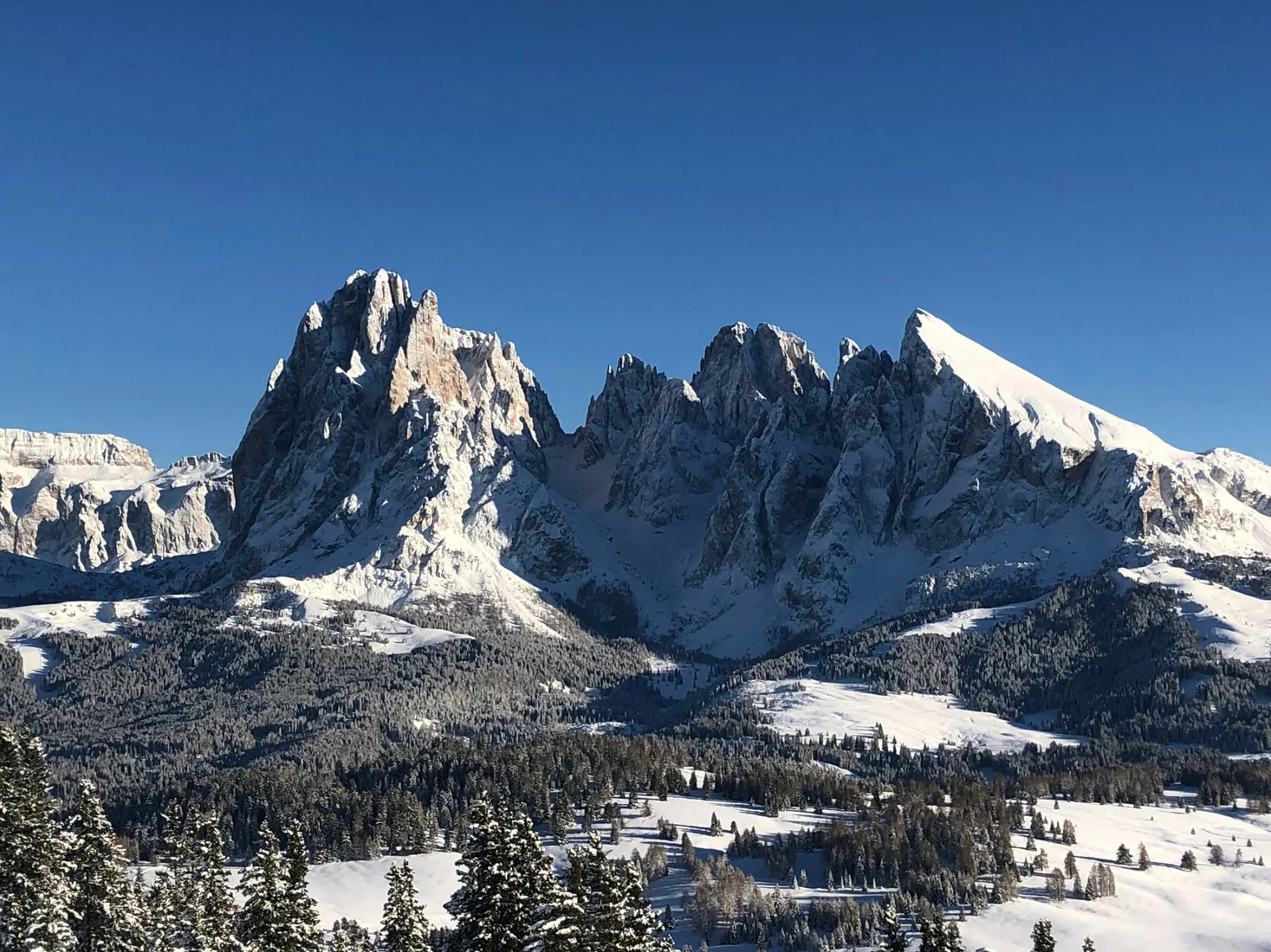 Snow-covered Sella, Langkofel (Sassolungo) and Plattkofel (Sassopiatto), viewed from Mont Seuc / Alpe di Siusi above Ortisei in Val Gardena, Italy