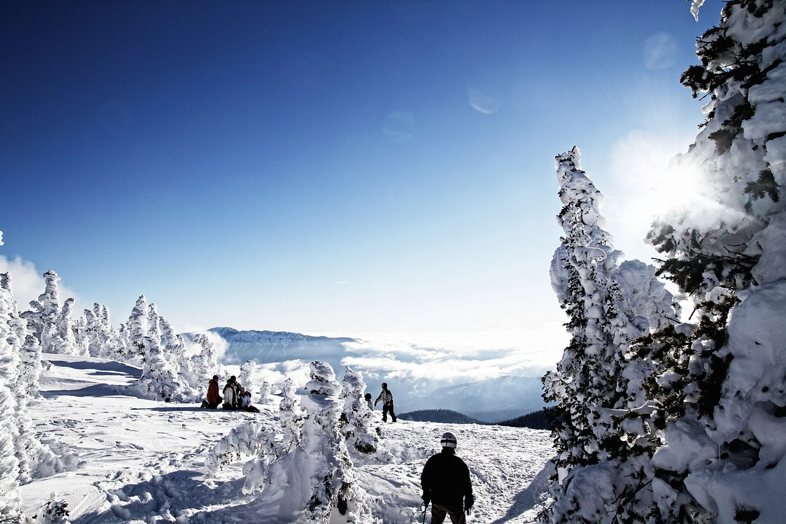 Skiers among snow-covered trees at the top of Wolf Creek Ski Area, Colorado.