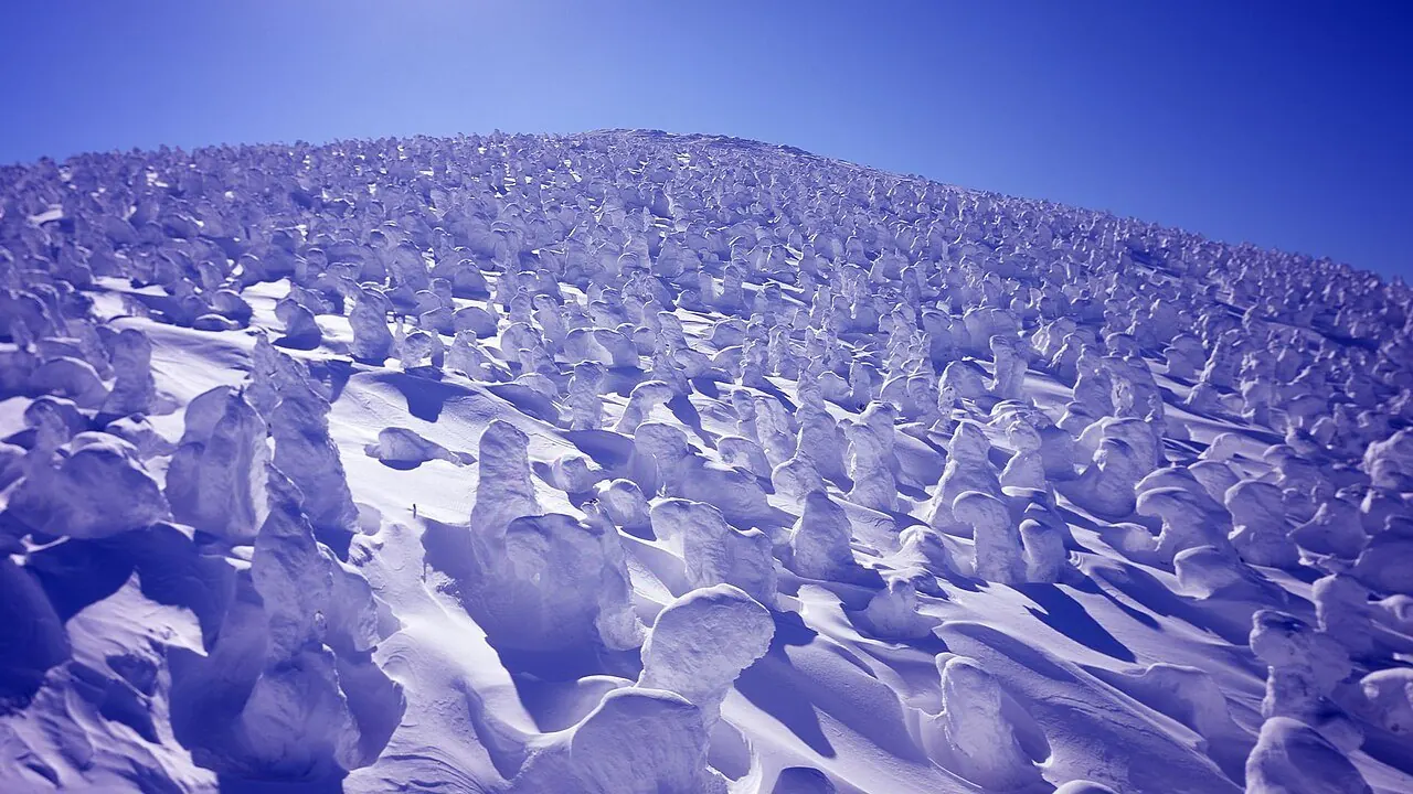 "Snow Monsters", Yamagata Zao Onsen Ski Resort, Yamagata, Yamagata, Japan
