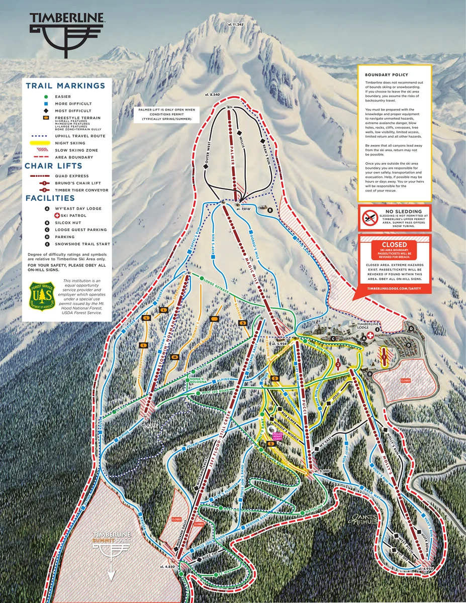 Official panoramic piste map of Timberline Lodge Ski Area showing ski runs and lifts